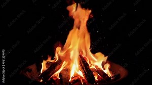 Fire on black background. Campfire Flames in the Dark Night. Night Campfire with Burning Logs.