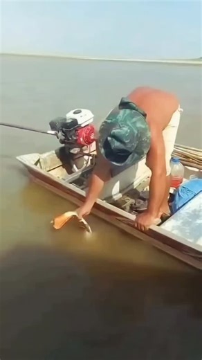 ‎حسن طغیانی‎ on Instagram‎: "افتادن در رودخانه آمازون می‌تواند یکی از خطرناک‌ترین تجربه‌های ممکن باشد؛ چون مجموعه‌ای از تهدیدهای طبیعی، جانوری و محیطی هم‌زمان وجود دارد. مهم‌ترین خطرات عبارت‌اند از: 🐊 ۱. جانوران بسیار خطرناک کایمن‌ها (تمساح‌های آمازون): سریع، مخفی‌کار و بسیار تهاجمی پیراناها: به‌ویژه در صورت وجود خون یا زخم حمله می‌کنند آناکوندا: مارهای غول‌پیکر که توان خفه‌کردن انسان را دارند مارماهی الکتریکی ⚡: شوک‌هایی تا حدود ۶۰۰ ولت ماهی‌های سمی و نیش‌دار مثل سفره‌ماهی آب شیرین دلفین صورتی