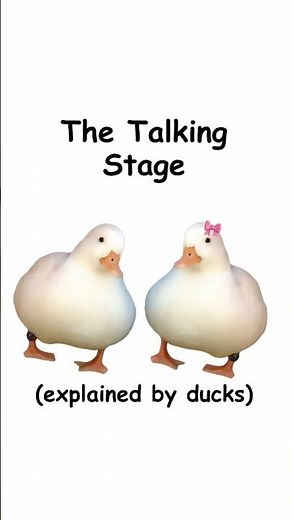 The talking stage (explained by ducks)