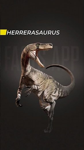 Scientifically Accurate Dinosaurs: Herrerasaurus