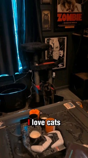 282K views · 2.4K reactions | It's always hilarious to me when I post...