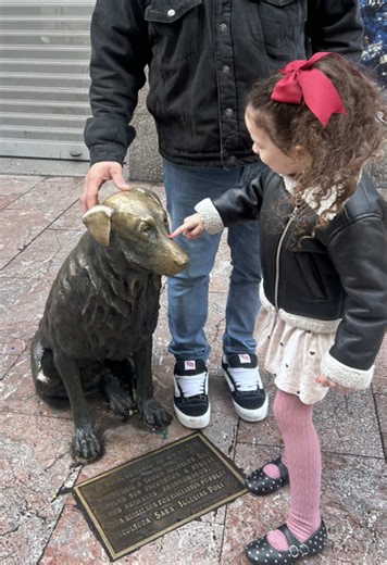 Conocías la historia de Rufo?🐕 el perro callejero de Oviedo #asturias #rufo #oviedo #españa #perrooviedo