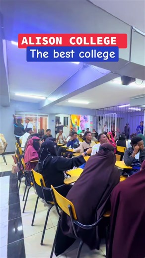 Discover Alison College: Your Path to Success