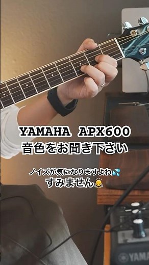 YAMAHA APX600｜エレアコの音色をお聞きください #ギター #ヤマハギター #yamaha #guitar #アコギ #弾いてみた #ギター初心者