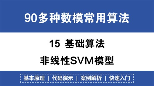 15 非线性SVM模型 算法原理讲解！代码汇总！数模算法入门！实例分析！