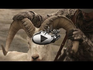 What It's Like To Hunt Alaska's Most Elusive Animal