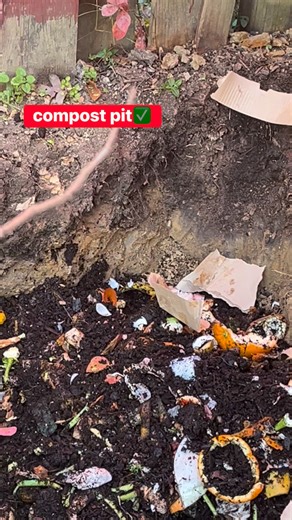 It’s an eco-friendly way to recycle materials that will be beneficial for our plants later #compostingtips #nutrients #ecofriendly #zerowaste | Ethel Parcon Sadorra