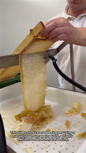 The Steam Powered Honeycomb Uncapping Knife