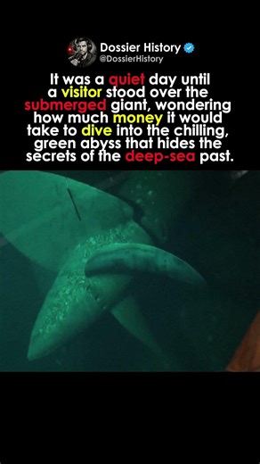 They Risked The Deep Dive
