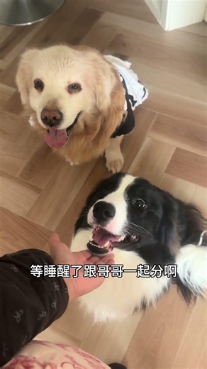 3031战果累累 - 下次更精彩