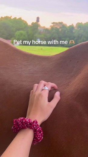 This was the most magical moment 🥹🐴🦌🧚‍♀️