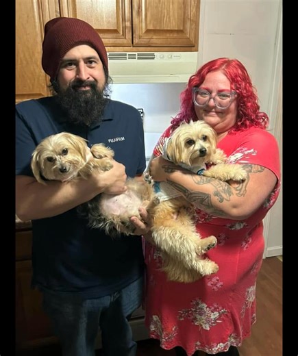 2.8K views · 78 reactions |  Celebrating 10 Years of Tiny Paws...