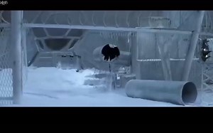 影视-007：一部好莱坞巅峰之作，近十年无法被超越，我也就看了八遍