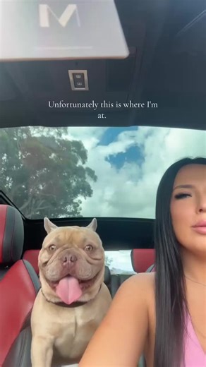 Understanding the Healing Process from Trauma