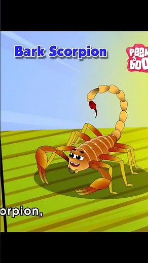 What should be done if stung by a scorpion?#shorts #Easy treatment