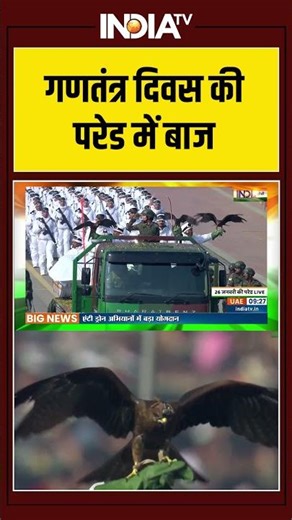 गणतंत्र दिवस की परेड में बाज #republicday2026 #republicday #ytshorts #shorts