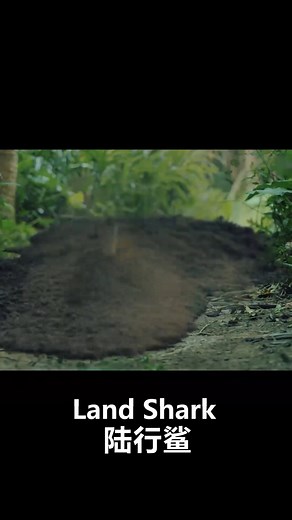 206K views · 376 reactions | It's ridiculous!麗#youkumovie #优酷电影 #movies #thriller #horrormovie #actionmovie #fantasymovie | Youku Movie | Facebook