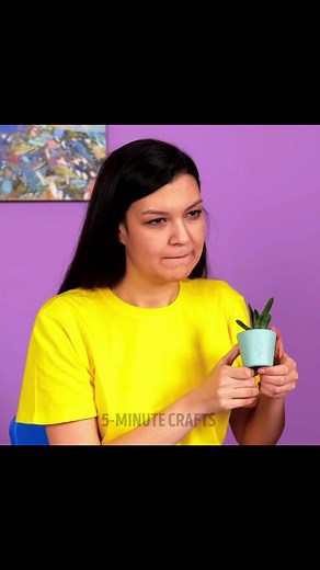 How to Build a Homemade Violin in 5 Minutes (5 Minute Crafts)
