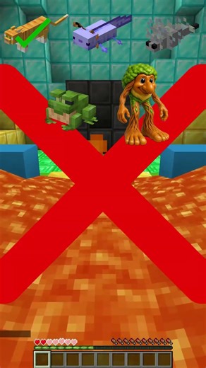 Minecraft Heroes Pass The Lava Of The End