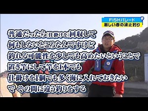 「釣れればなんでもいい？」厳しい春の波止釣りに挑戦！予想通り”しわい”回に...、生き物は釣れました（汗）【次回に続く】｜FISHパレード（2024年3月29日放送）