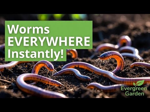 Grow Endless Earthworms in Your Garden Without a Compost Bin – Secret Soil Hack Revealed!