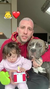 1.3K views · 130 reactions | Responsibilities are individual !! A thought to the little one ❤️ . . #MASSIeMINO #fundog #bully #cutedog #foryou #reels #babygirl #doglovers #doggo #funny #viral #bullyuk #americanbully #dog #puppy #baby #fypシ #fypage #fyp | G00D View | Facebook
