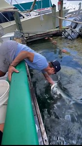 Guess the fish was still hungry! 😂 | America's Funniest Home Videos