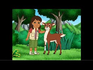 Go Diego Go Whitetail