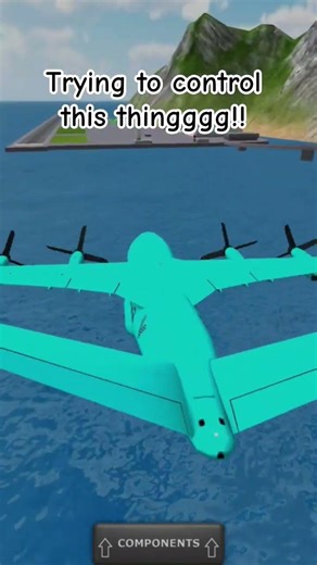 Flyinair flight 5432 crash full version TFS #aviation #planecrash #crash