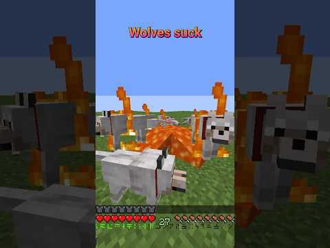 WOLVES SUCK! Use foxes instead! #minecraft #tips #tipsandtricks #lifehack
