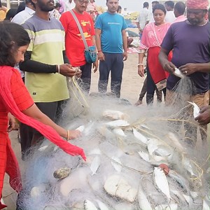 864K views · 2.2K reactions | Fishermen Catching Alive Fish | Odisha Puri Sea Beach India | Street Food Loves You | Facebook