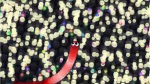 Slither.io - BIGGEST SNAKE EVER - EPIC SLITHERIO PRIVATE SERVER #Slither.io #Slitherio #Snake game #Snake #game | Flower Blossom