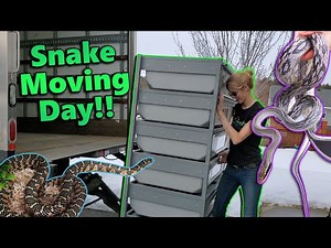 Moving our Snakes to the New Facility!