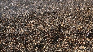 0C83E067-2D7B-4680-90C5-A8130A5B021D