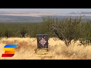 Man dies when cannon explodes during baby shower.