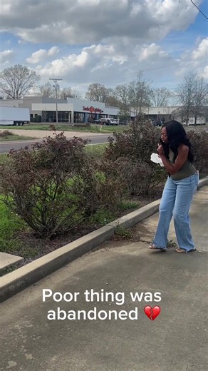 Shop Biotin Gummies for Healthy Skin and Hair Growth