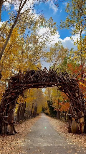 42K views · 847 reactions | Autumn leaves falling down like pieces...