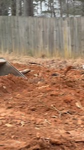 A common concern for customers after pulling stumps is that they will be left with large holes in their yard. No worries! We are happy to fill and level the area before finishing the job. For a free quote for tree cutting, stump pulling, grading, or excavating give us a call at (706)974-5270 #treeservice #smallbusiness #grading #excavating | ClearTree Land Solutions