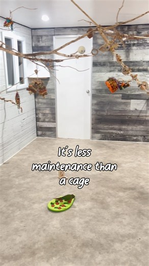 So much easier to clean than cages!