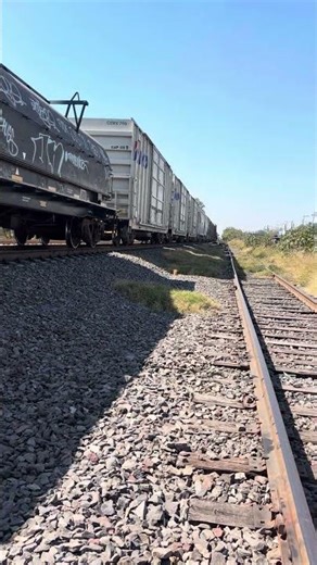The Heavyweight Workhorse of North America: The EMD SD70ACe
