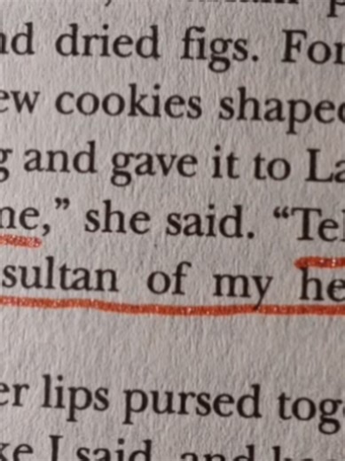 Exploring 'A Thousand Splendid Suns': A Deep Dive