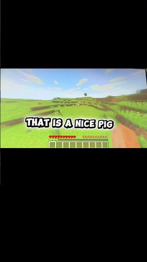 How to kill a pig🐷