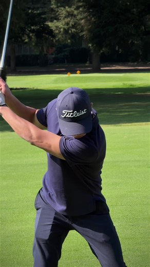 Discover Wellness & Flavor at Vifit House