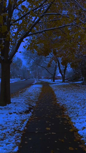 ❄️ ❄️ ❄️ #snow #vibe #fyp #liminal | snow