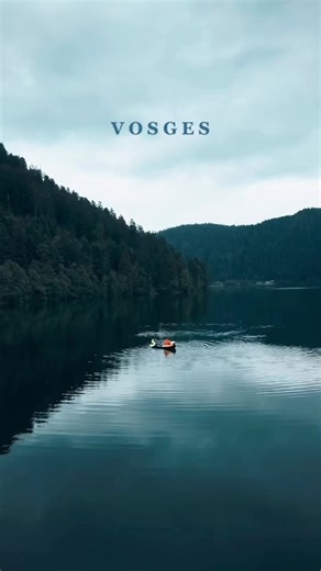 Les Vosges 🌲#vosges #nature #paysage