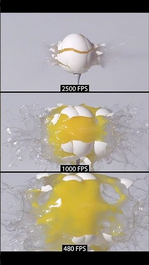 480fps vs 1000fps vs 2500fps egg fps test #slowmotion #science #fps