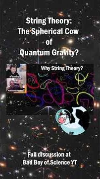 String Theory: The Spherical Cow of Quantum Gravity