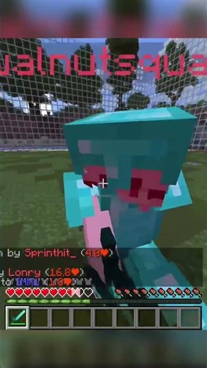 [Minecraft] First time playing Java