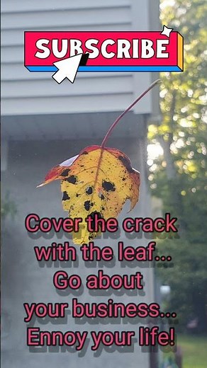 Windshield crack repair super glue.