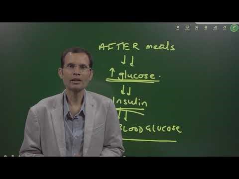 Insulin & Blood Glucose Regulation: Feedback or Feedforward? | Reasoning Question Explained | MBBS |